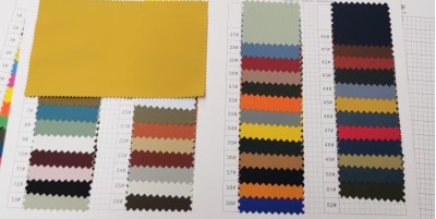 CF832 成分：100%Nylon  幅寬：150CM 克重：177G  他士侖 亮身 不起皺 潑水 45度照